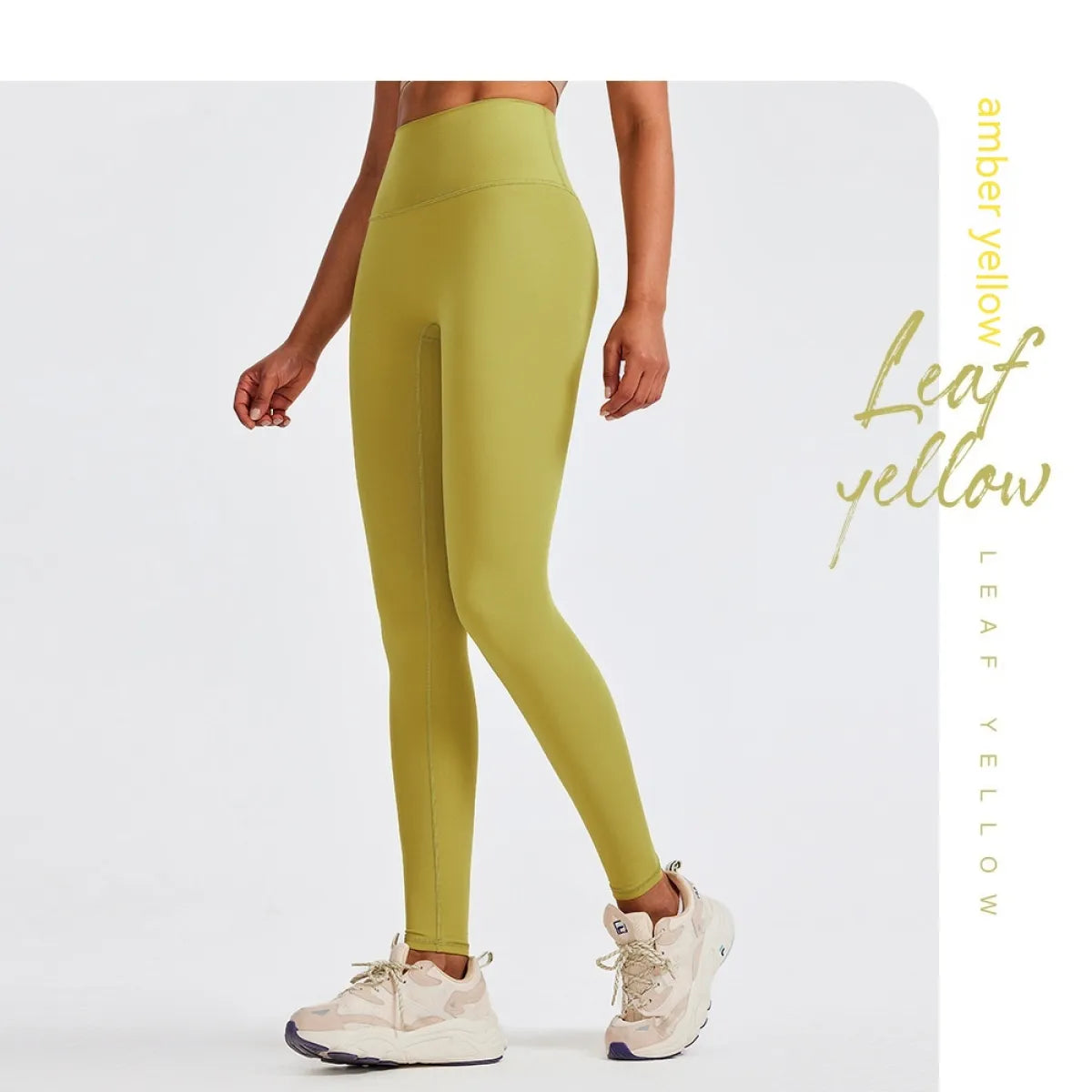 Plus Size High-Waist Fitness Leggings – Moisture-Wicking Workout Tights